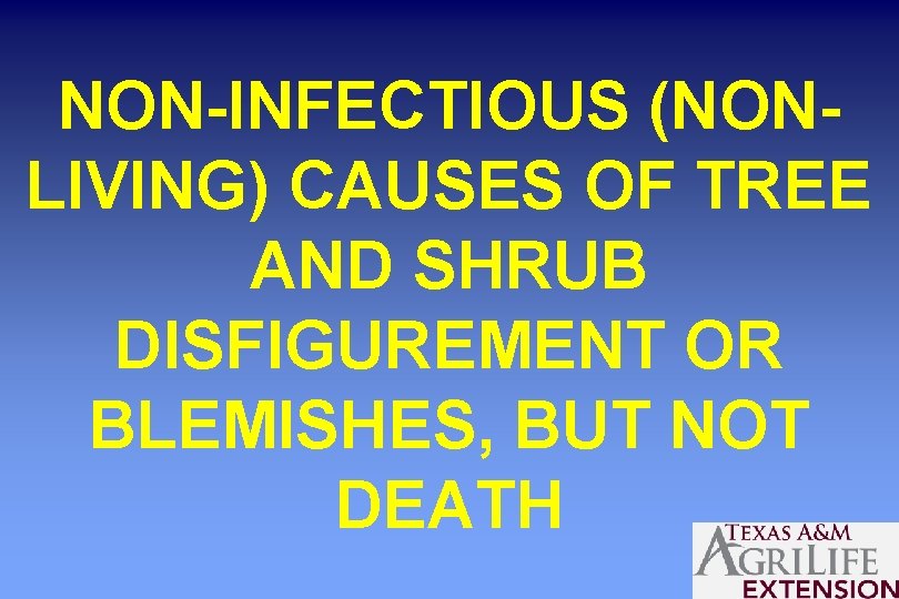 NON-INFECTIOUS (NONLIVING) CAUSES OF TREE AND SHRUB DISFIGUREMENT OR BLEMISHES, BUT NOT DEATH 