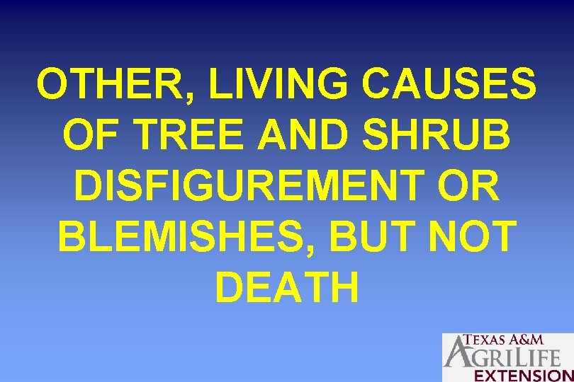 OTHER, LIVING CAUSES OF TREE AND SHRUB DISFIGUREMENT OR BLEMISHES, BUT NOT DEATH 
