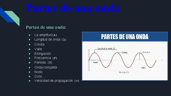 Partes de una onda: ● ● ● La amplitud(A) Longitud de onda (λ) Cresta