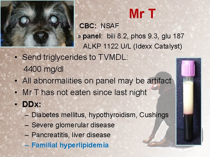 Mr T CBC: NSAF » panel: bili 8. 2, phos 9. 3, glu 187