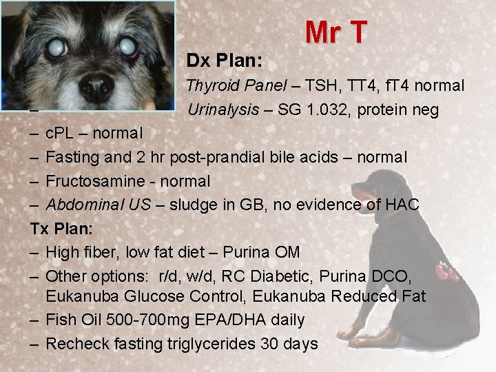 Dx Plan: » Mr T Thyroid Panel – TSH, TT 4, f. T 4