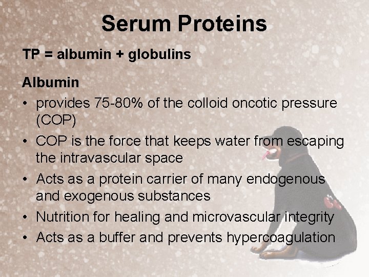 Serum Proteins TP = albumin + globulins Albumin • provides 75 -80% of the