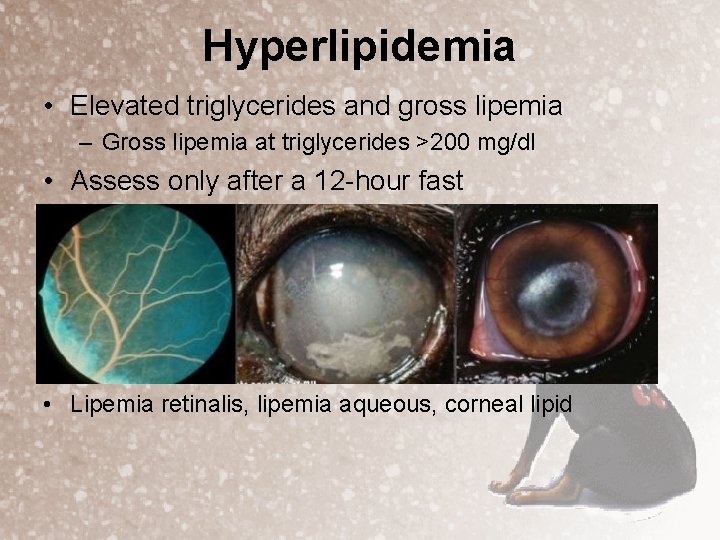 Hyperlipidemia • Elevated triglycerides and gross lipemia – Gross lipemia at triglycerides >200 mg/dl