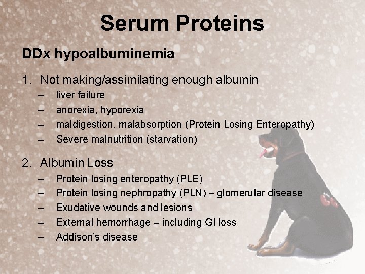 Serum Proteins DDx hypoalbuminemia 1. Not making/assimilating enough albumin – – liver failure anorexia,