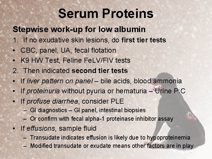 Serum Proteins Stepwise work-up for low albumin 1. If no exudative skin lesions, do