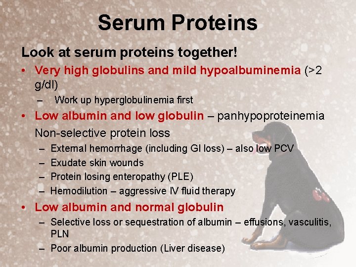 Serum Proteins Look at serum proteins together! • Very high globulins and mild hypoalbuminemia