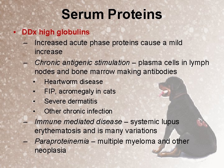 Serum Proteins • DDx high globulins – Increased acute phase proteins cause a mild