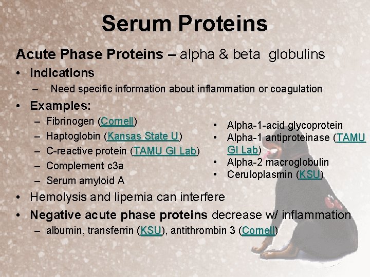 Serum Proteins Acute Phase Proteins – alpha & beta globulins • indications – Need