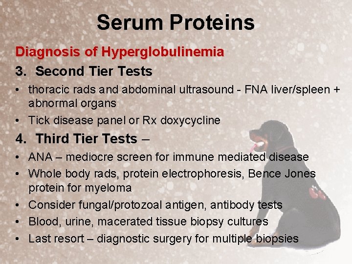 Serum Proteins Diagnosis of Hyperglobulinemia 3. Second Tier Tests • thoracic rads and abdominal