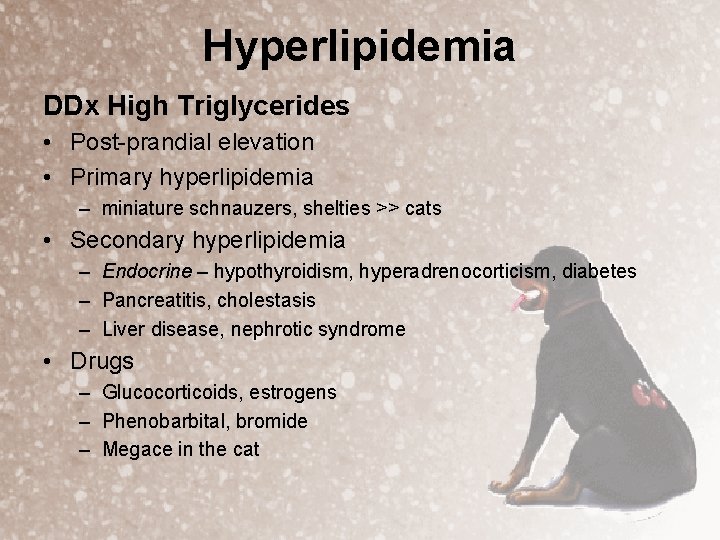 Hyperlipidemia DDx High Triglycerides • Post-prandial elevation • Primary hyperlipidemia – miniature schnauzers, shelties
