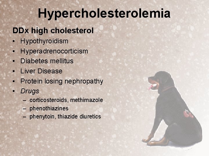 Hypercholesterolemia DDx high cholesterol • • • Hypothyroidism Hyperadrenocorticism Diabetes mellitus Liver Disease Protein