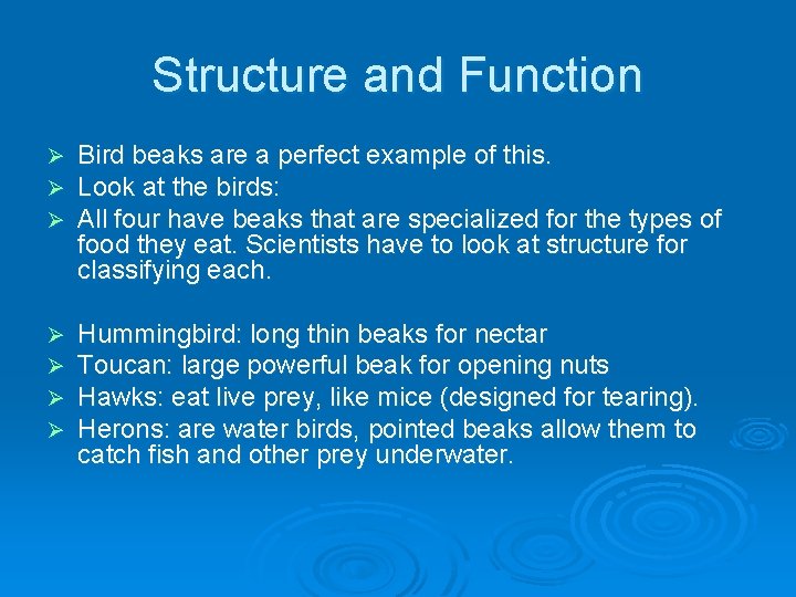 Structure and Function Ø Ø Ø Bird beaks are a perfect example of this.
