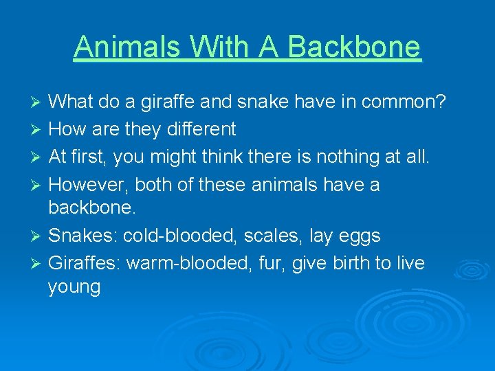 Animals With A Backbone What do a giraffe and snake have in common? Ø
