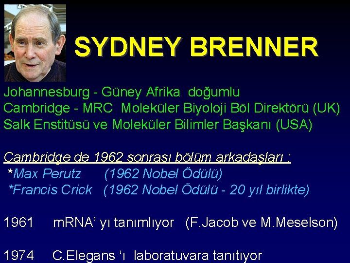 SYDNEY BRENNER Johannesburg - Güney Afrika doğumlu Cambridge - MRC Moleküler Biyoloji Böl Direktörü