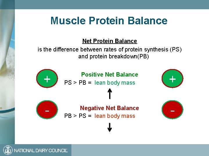 Muscle Protein Balance Net Protein Balance is the difference between rates of protein synthesis