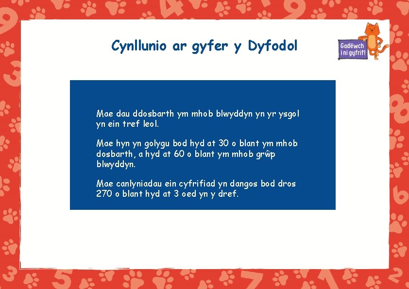 Cynllunio ar gyfer y Dyfodol Mae dau ddosbarth ym mhob blwyddyn yn yr ysgol