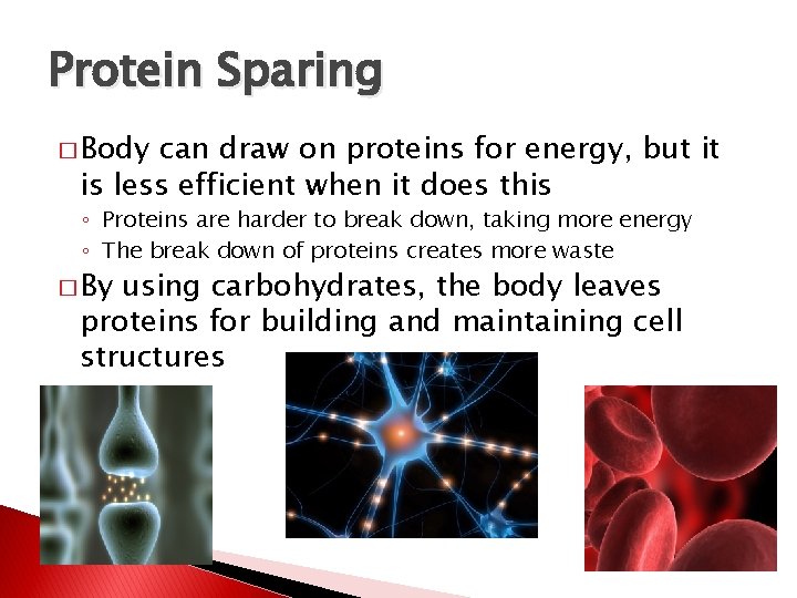 Protein Sparing � Body can draw on proteins for energy, but it is less