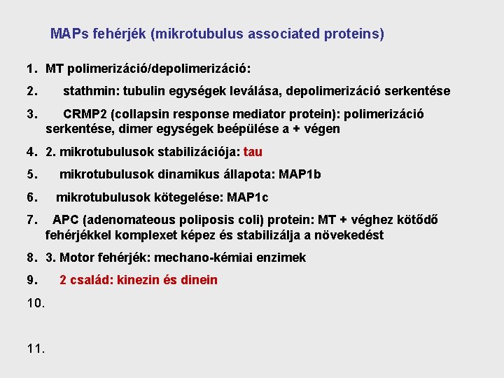 MAPs fehérjék (mikrotubulus associated proteins) 1. MT polimerizáció/depolimerizáció: 2. 3. stathmin: tubulin egységek leválása,