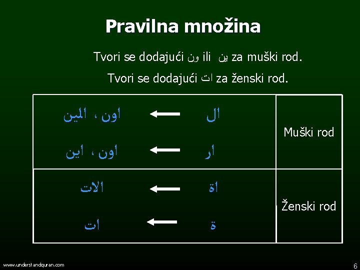 Pravilna množina Tvori se dodajući ﻭﻥ ili ﻳﻦ za muški rod. Tvori se dodajući