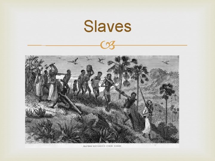 Slaves 