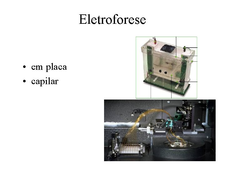 Eletroforese • em placa • capilar 