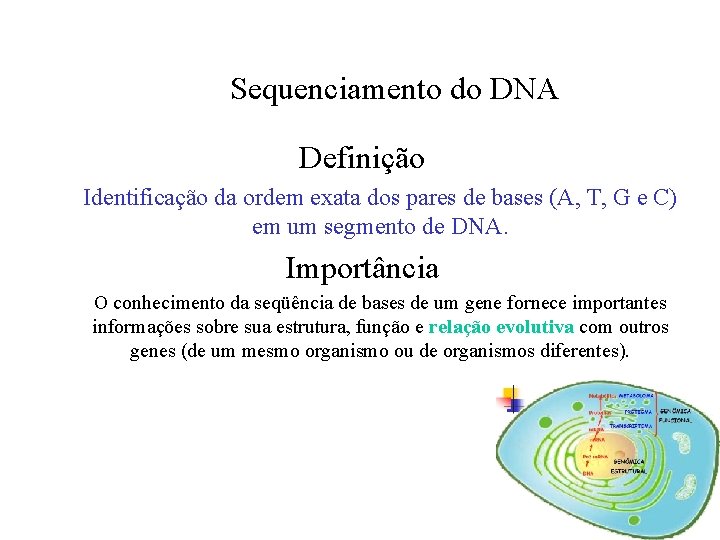 Sequenciamento do DNA Definição Identificação da ordem exata dos pares de bases (A, T,