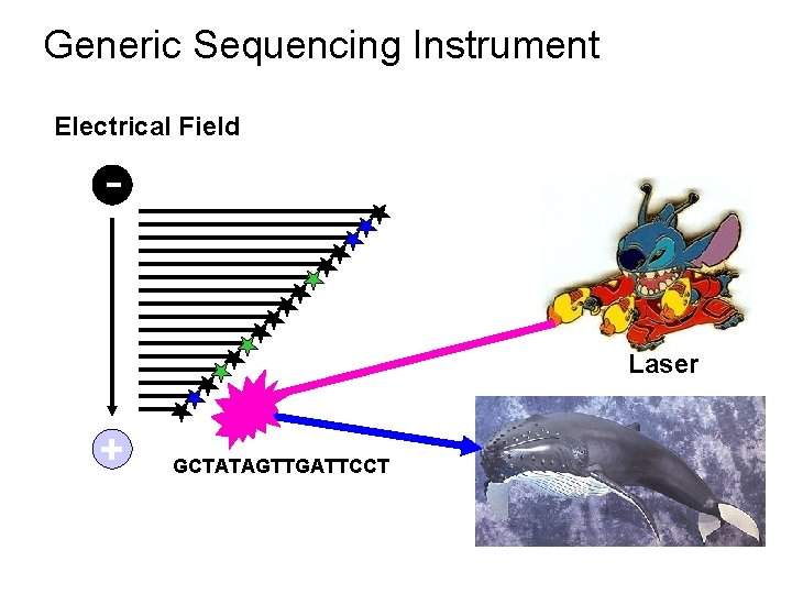 Generic Sequencing Instrument Electrical Field - Laser + GCTATAGTTGATTCCT 