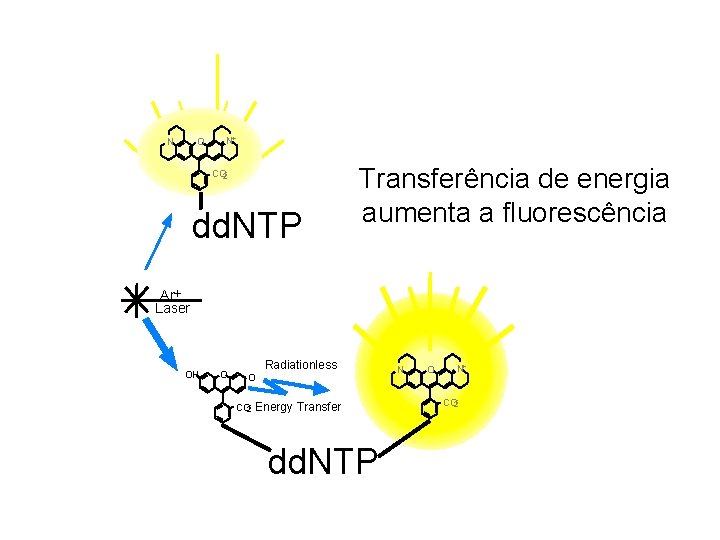 N O N+ CO 2 - dd. NTP Transferência de energia aumenta a fluorescência