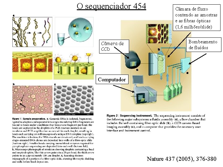 O sequenciador 454 Câmera de CCD Câmara de fluxo contendo as amostras e as