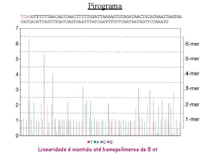 Pirograma Linearidade é mantida até homopolímeros de 8 nt 