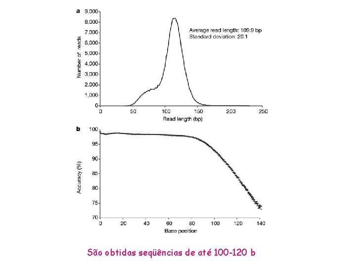 São obtidas seqüências de até 100 -120 b 