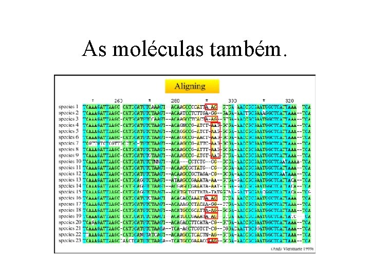 As moléculas também. 