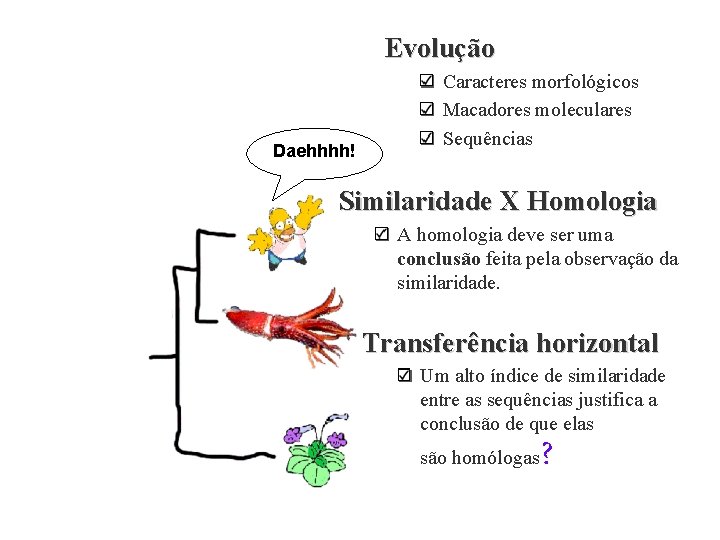 Evolução Daehhhh! Caracteres morfológicos Macadores moleculares Sequências Similaridade X Homologia A homologia deve ser
