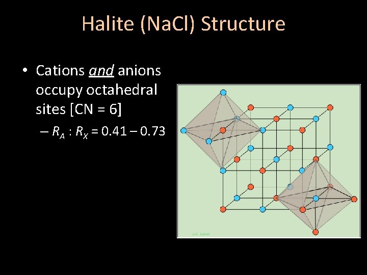 Halite (Na. Cl) Structure • Cations and anions occupy octahedral sites [CN = 6]