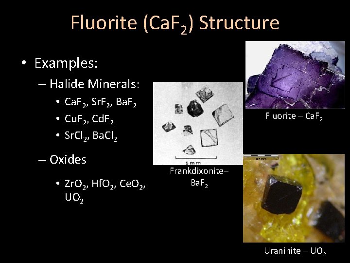 Fluorite (Ca. F 2) Structure • Examples: – Halide Minerals: • Ca. F 2,