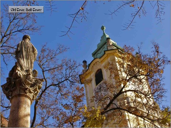 Old Town Hall Tower 