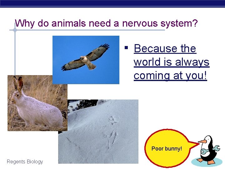 Why do animals need a nervous system? ▪ Because the world is always coming