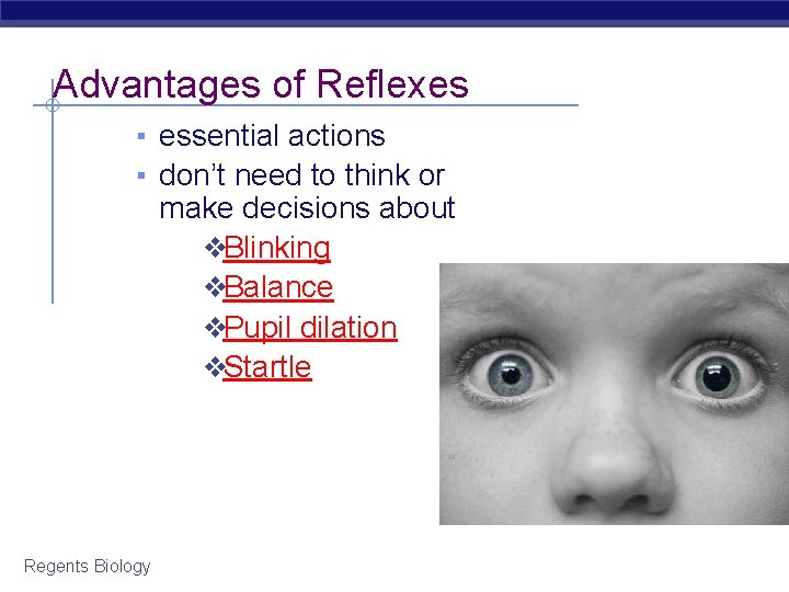 Advantages of Reflexes ▪ essential actions ▪ don’t need to think or make decisions