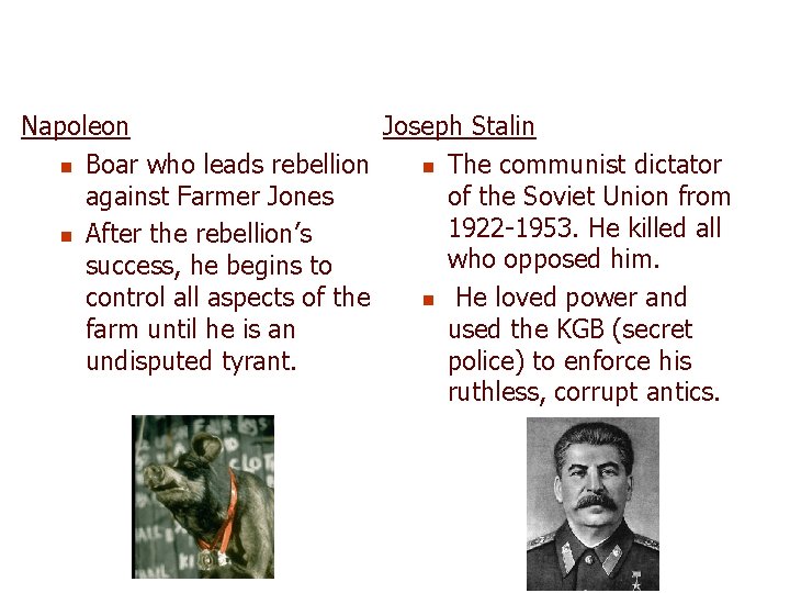 Napoleon Joseph Stalin n Boar who leads rebellion n The communist dictator against Farmer