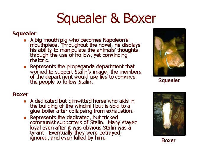 Squealer & Boxer Squealer n A big mouth pig who becomes Napoleon’s mouthpiece. Throughout