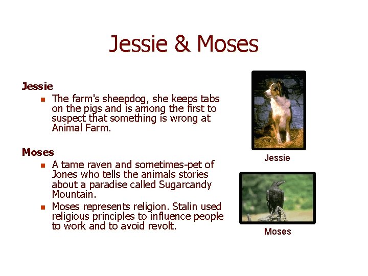 Jessie & Moses Jessie n The farm's sheepdog, she keeps tabs on the pigs