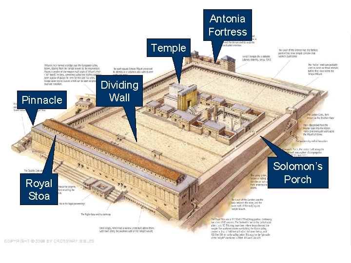 Antonia Fortress Temple Pinnacle Royal Stoa Dividing Wall Solomon’s Porch 