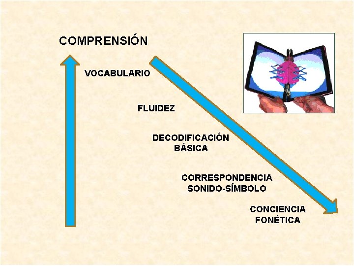 COMPRENSIÓN VOCABULARIO FLUIDEZ DECODIFICACIÓN BÁSICA CORRESPONDENCIA SONIDO-SÍMBOLO CONCIENCIA FONÉTICA 