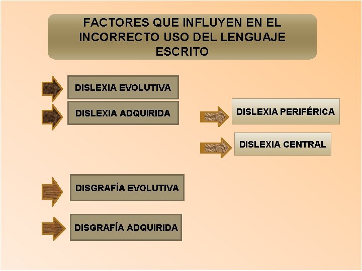 FACTORES QUE INFLUYEN EN EL INCORRECTO USO DEL LENGUAJE ESCRITO DISLEXIA EVOLUTIVA DISLEXIA ADQUIRIDA