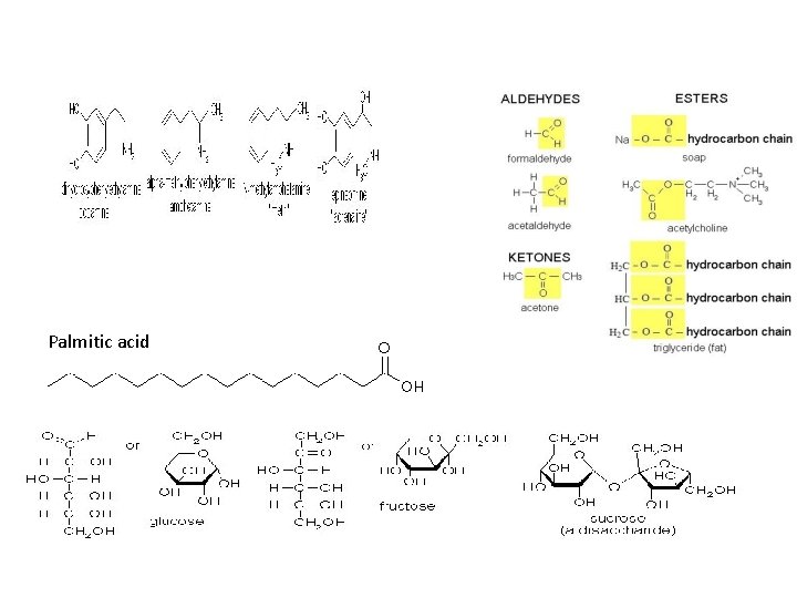 Palmitic acid Palmitic acid