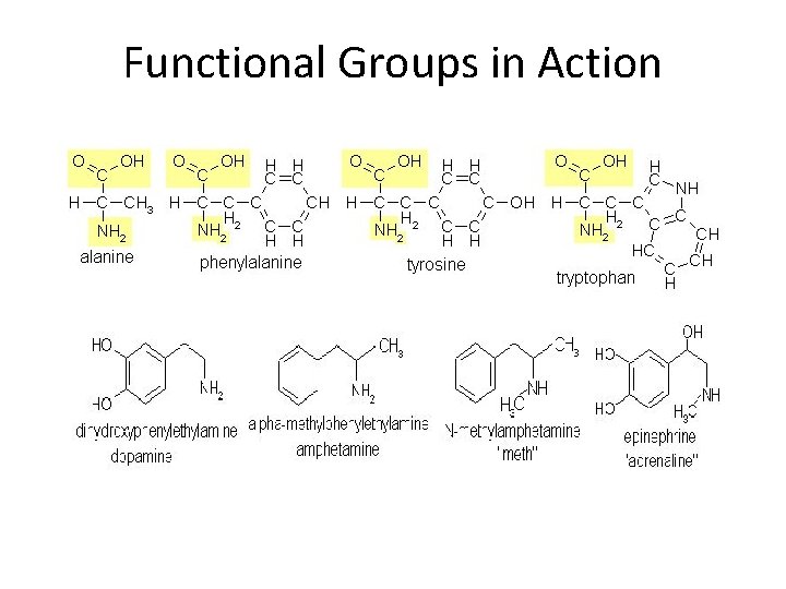 Functional Groups in Action Functional Groups in Action