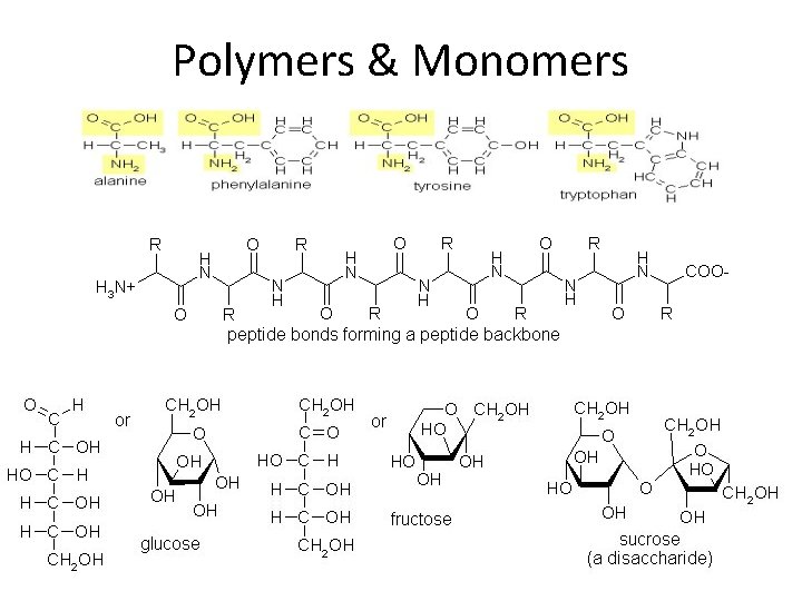 Polymers & Monomers Polymers & Monomers