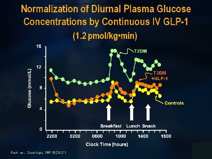 Normalization of Diurnal Plasma Glucose Concentrations by Continuous IV GLP-1 