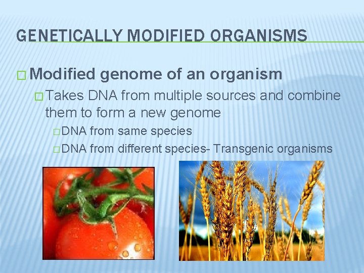 GENETICALLY MODIFIED ORGANISMS � Modified genome of an organism � Takes DNA from multiple