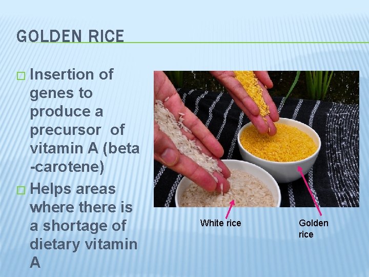 GOLDEN RICE � Insertion of genes to produce a precursor of vitamin A (beta